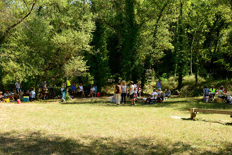 rallye-11